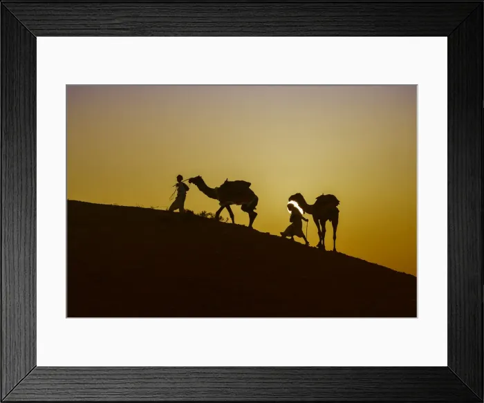 Framed Print : Two Rabari men climbing a dune with their dromedaries at sunset, Great Rann of Kutch