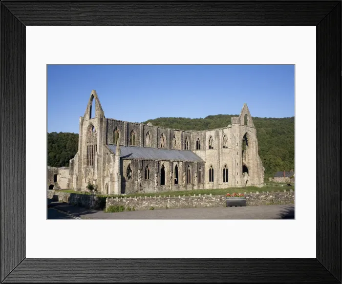 Framed Print : Late afternoon view of South and West sides of Tintern Abbey, Monmouthshire, Wales Framed Print : Late afternoon view of South and West sides of Tintern Abbey, Monmouthshire, Wales