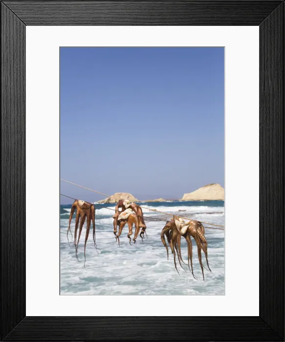 Framed Print : Drying Octopus, Mandrakia Village, Milos Island, Cyclades Group, Greek Islands, Greece Framed Print : Drying Octopus, Mandrakia Village, Milos Island, Cyclades Group, Greek Islands, Greece