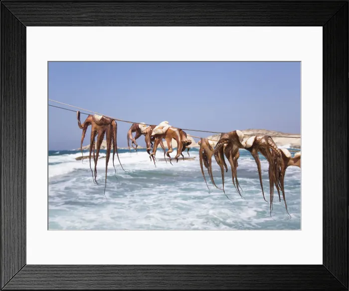 Framed Print : Drying Octopus, Mandrakia Village, Milos Island, Cyclades Group, Greek Islands, Greece
