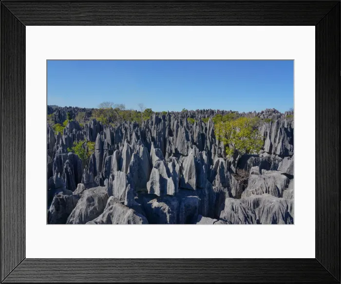Framed Print : Tsingy de Bemaraha National Park, UNESCO World Heritage Site, Melaky Region, Western Framed Print : Tsingy de Bemaraha National Park, UNESCO World Heritage Site, Melaky Region, Western