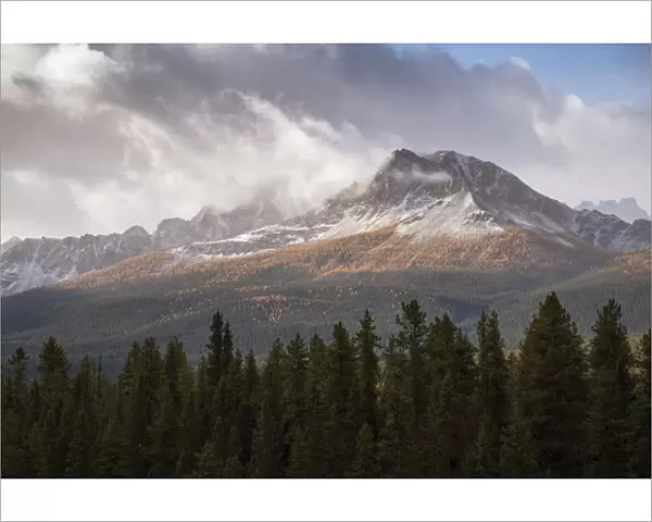 Mountain range at Morants Curve in autumn foliage, Banff National Park, UNESCO