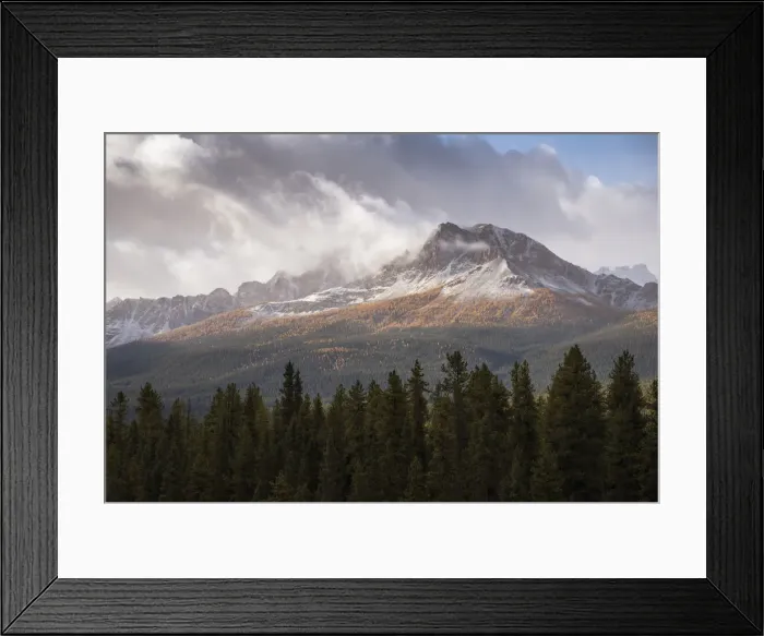 Framed Print : Mountain range at Morants Curve in autumn foliage, Banff National Park, UNESCO Framed Print : Mountain range at Morants Curve in autumn foliage, Banff National Park, UNESCO