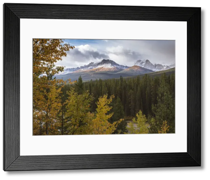 Framed Print : Mountain range at Morants Curve in autumn foliage, Banff National Park, UNESCO Framed Print : Mountain range at Morants Curve in autumn foliage, Banff National Park, UNESCO
