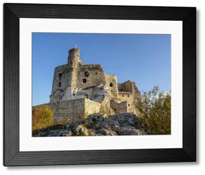 Framed Print : Mirow Castle Ruins, Trail of the Eagles Nests, Krakow-Czestochowa Upland (Polish Framed Print : Mirow Castle Ruins, Trail of the Eagles Nests, Krakow-Czestochowa Upland (Polish