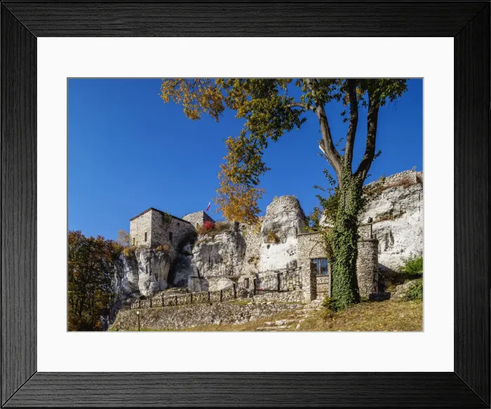 Framed Print : Bakowiec Castle in Morsko, Trail of the Eagles Nests, Krakow-Czestochowa Upland Framed Print : Bakowiec Castle in Morsko, Trail of the Eagles Nests, Krakow-Czestochowa Upland