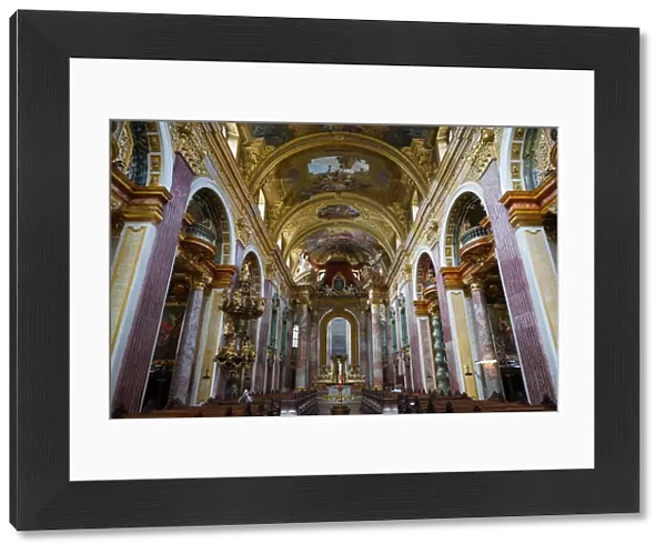 The Jesuit Church (Jesuitenkirche) (University Church), Vienna, Austria, Europe