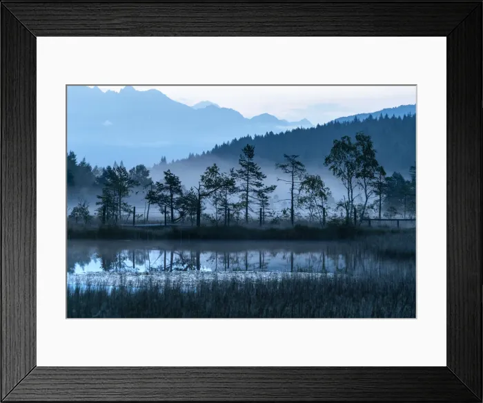 Framed Print : Dusk over trees mirrored in the swamp of Pian di Gembro Nature Reserve, Aprica, Sondrio Framed Print : Dusk over trees mirrored in the swamp of Pian di Gembro Nature Reserve, Aprica, Sondrio