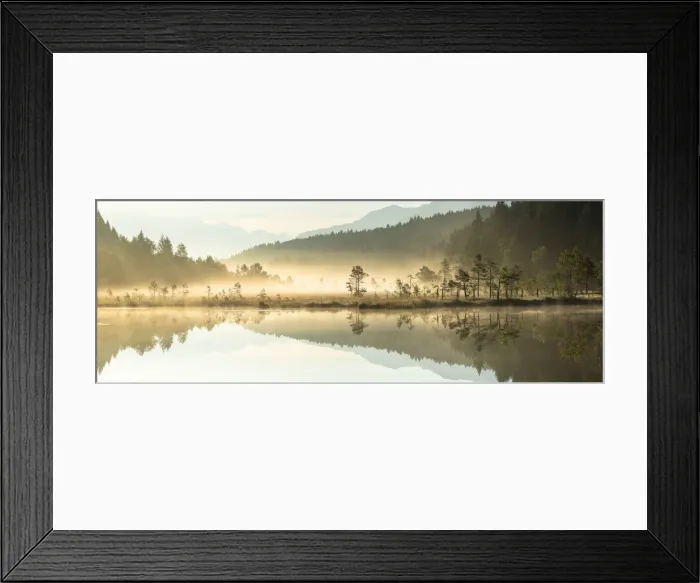 Framed Print : Panoramic of trees mirrored in Pian di Gembro Nature Reserve during a misty sunrise Framed Print : Panoramic of trees mirrored in Pian di Gembro Nature Reserve during a misty sunrise