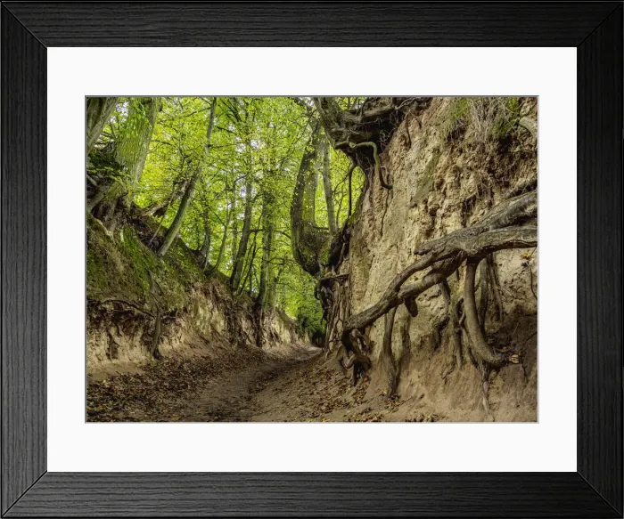 Framed Print : Gorge Korzeniowy Dol, Kazimierz Dolny, Lublin Voivodeship, Poland, Europe Framed Print : Gorge Korzeniowy Dol, Kazimierz Dolny, Lublin Voivodeship, Poland, Europe