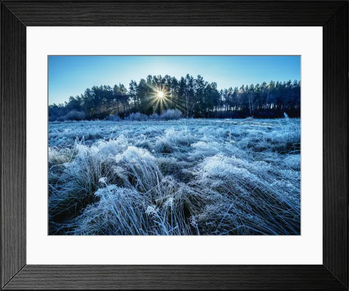 Framed Print : Morning frost in Gorajec, Lublin Voivodeship, Poland, Europe Framed Print : Morning frost in Gorajec, Lublin Voivodeship, Poland, Europe