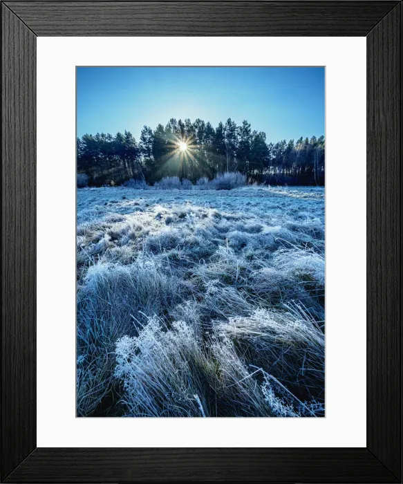 Framed Print : Morning frost in Gorajec, Lublin Voivodeship, Poland, Europe Framed Print : Morning frost in Gorajec, Lublin Voivodeship, Poland, Europe