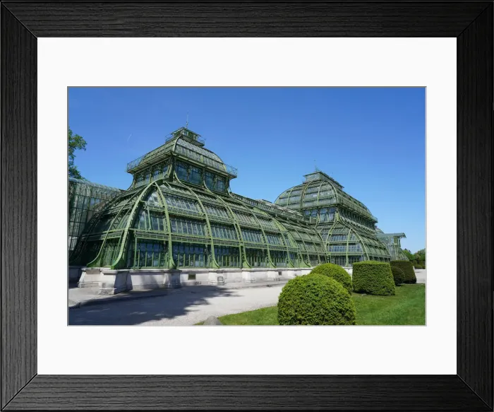 Framed Print : The Palm House in the Schonbrunn Gardens, UNESCO World Heritage Site, Vienna, Austria Framed Print : The Palm House in the Schonbrunn Gardens, UNESCO World Heritage Site, Vienna, Austria