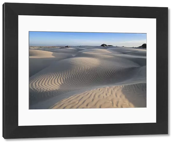 Patterns in the dunes at Sand Dollar Beach, Magdalena Island, Baja California Sur