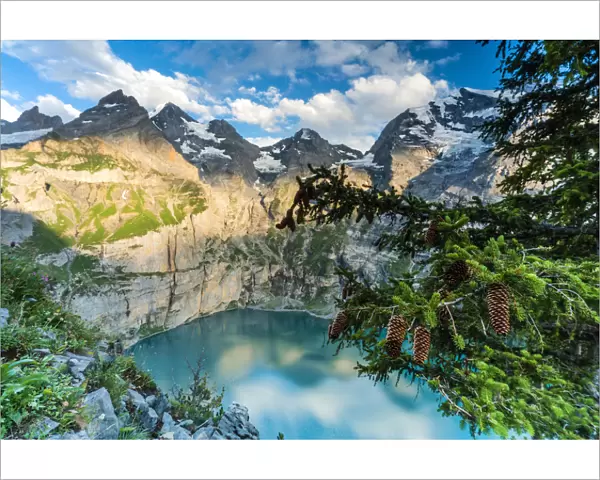 Trees and pine cones framing Oeschinensee lake at sunset, Bernese Oberland, Kandersteg