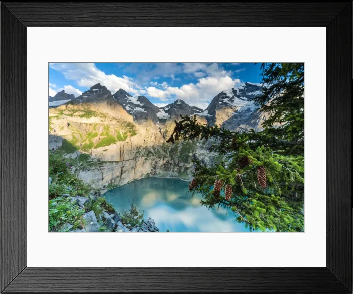 Framed Print : Trees and pine cones framing Oeschinensee lake at sunset, Bernese Oberland, Kandersteg