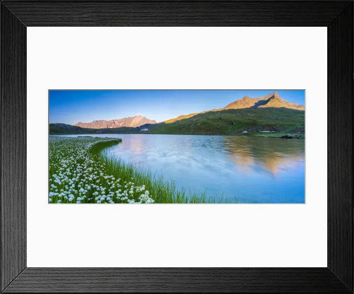 Framed Print : Panoramic of Monte Gavia mirrored in Lago Bianco surrounded by cotton grass, Gavia Pass Framed Print : Panoramic of Monte Gavia mirrored in Lago Bianco surrounded by cotton grass, Gavia Pass