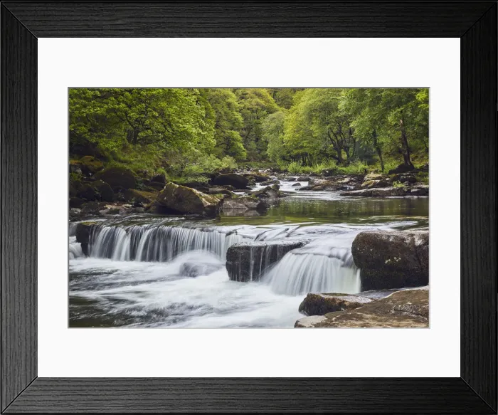 Framed Print : A woodland stream, the River Dart flowing through ancient oak woodland, in the heart Framed Print : A woodland stream, the River Dart flowing through ancient oak woodland, in the heart