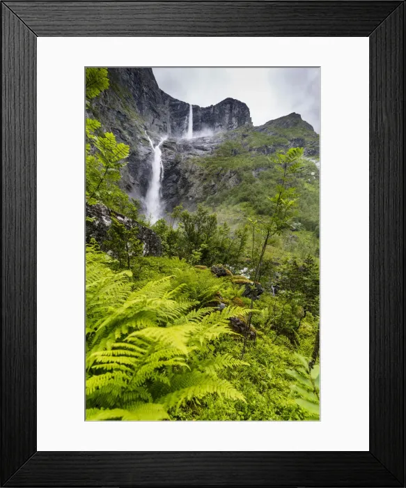 Framed Print : Green ferns along the course of majestic Mardalsfossen waterfall, Eikesdalen, Nesset Framed Print : Green ferns along the course of majestic Mardalsfossen waterfall, Eikesdalen, Nesset