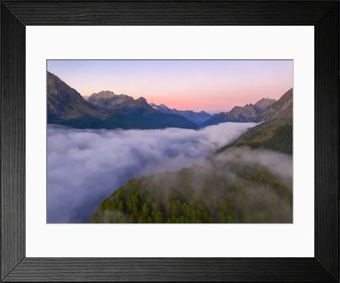 Framed Print : Foggy sunrise over woods of Maloja Pass at dawn, aerial view by drone, Engadine, Canton Framed Print : Foggy sunrise over woods of Maloja Pass at dawn, aerial view by drone, Engadine, Canton