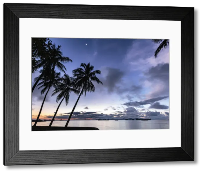 Framed Print : Palm trees by Sittwe harbour before sunrise, with clouds and small moon in the dawn sky Framed Print : Palm trees by Sittwe harbour before sunrise, with clouds and small moon in the dawn sky