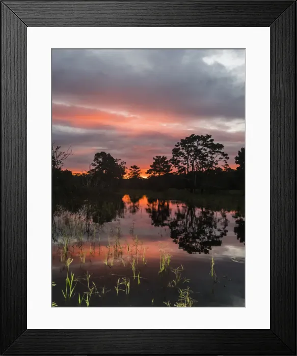 Framed Print : Sunset on Rio El Dorado, Pacaya-Samiria Reserve, Loreto, Peru, South America Framed Print : Sunset on Rio El Dorado, Pacaya-Samiria Reserve, Loreto, Peru, South America