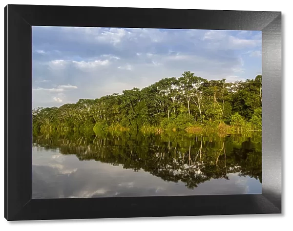 Reflections of the riverbank on Yanayacu Lake, Rio Pacaya, Pacaya-Samiria Reserve