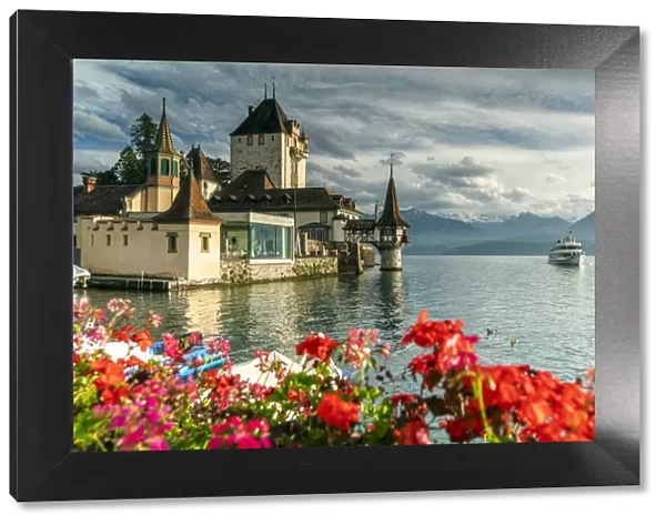 Flowers framing Oberhofen Castle and Lake Thun, Canton of Bern, Switzerland, Europe