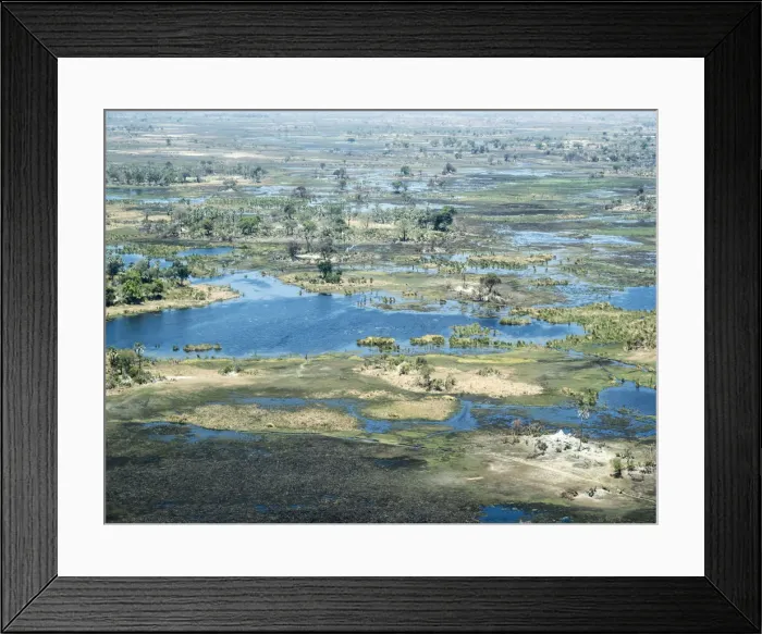 Framed Print : Aerial view of the Okavango Delta during drought conditions in early fall, Botswana Framed Print : Aerial view of the Okavango Delta during drought conditions in early fall, Botswana