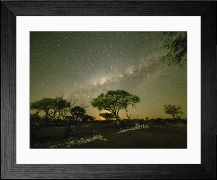 Framed Print : The milky way over acacia trees at night in the Okavango Delta, Botswana, Africa Framed Print : The milky way over acacia trees at night in the Okavango Delta, Botswana, Africa