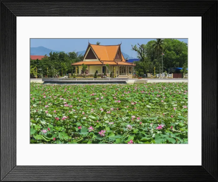 Framed Print : Ornamental lake covered with lily pads by temple pavilion at this quiet former French