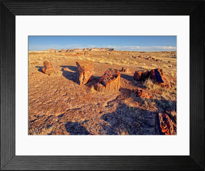 Framed Print : View of the Petrified Forest National Park from the Long Logs Trail on the south end of