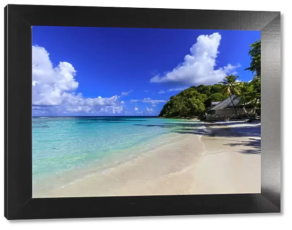 Long Bay Beach, beautiful soft white sand, turquoise sea, palm trees, Antigua