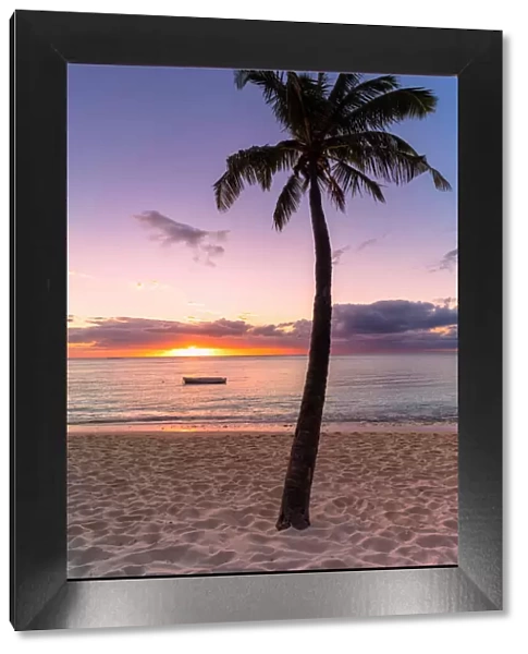 Palm tree on tropical beach during sunset, Le Morne Brabant, Black River district