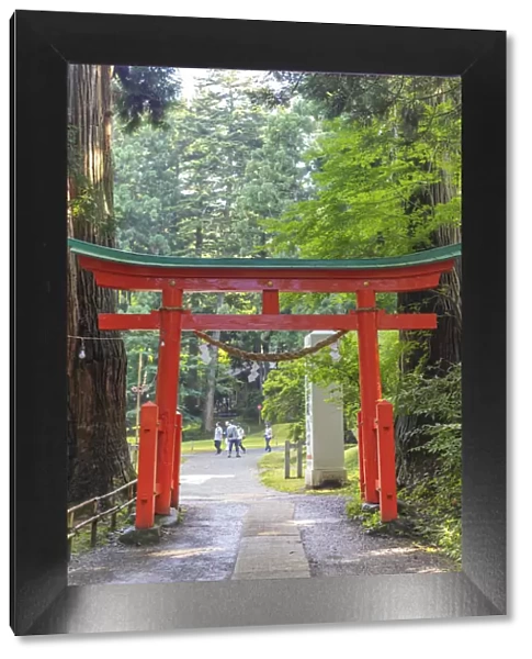 Torii gate, Takkoku no Iwaya Bishaman do temple, UNESCO World Heritage Site, Hiraizumi