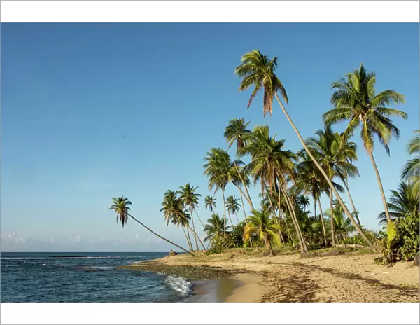 Playa Los Bohios, Maunabo, south coast of Puerto Rico, Caribbean, Central America