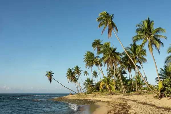 Playa Los Bohios, Maunabo, south coast of Puerto Rico, Caribbean, Central America