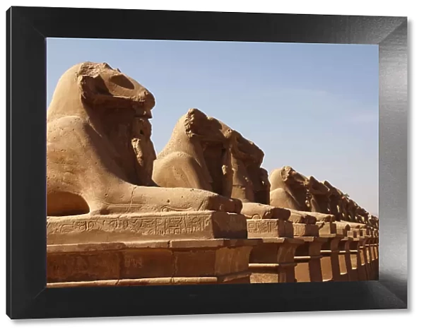 Avenue of Sphinxes, Karnak Temple, UNESCO World Heritage Site, Luxor, Thebes, Egypt
