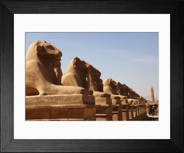 Framed Print : Avenue of Sphinxes, Karnak Temple, UNESCO World Heritage Site, Luxor, Thebes, Egypt Framed Print : Avenue of Sphinxes, Karnak Temple, UNESCO World Heritage Site, Luxor, Thebes, Egypt