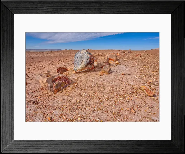Framed Print : A shattered petrified log in a desolate area of Petrified Forest National Park, Arizona Framed Print : A shattered petrified log in a desolate area of Petrified Forest National Park, Arizona