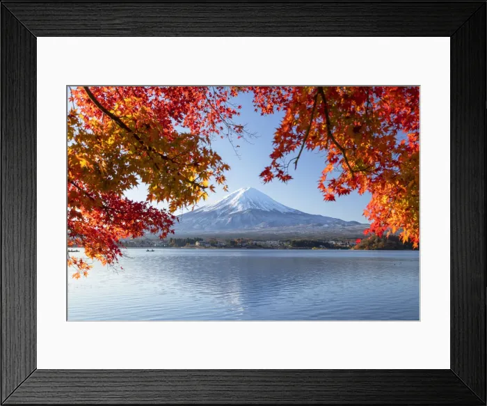 Framed Print : Mount Fuji, UNESCO World Heritage Site, and Lake Kawaguchi, Yamanashi Prefecture, Honshu Framed Print : Mount Fuji, UNESCO World Heritage Site, and Lake Kawaguchi, Yamanashi Prefecture, Honshu