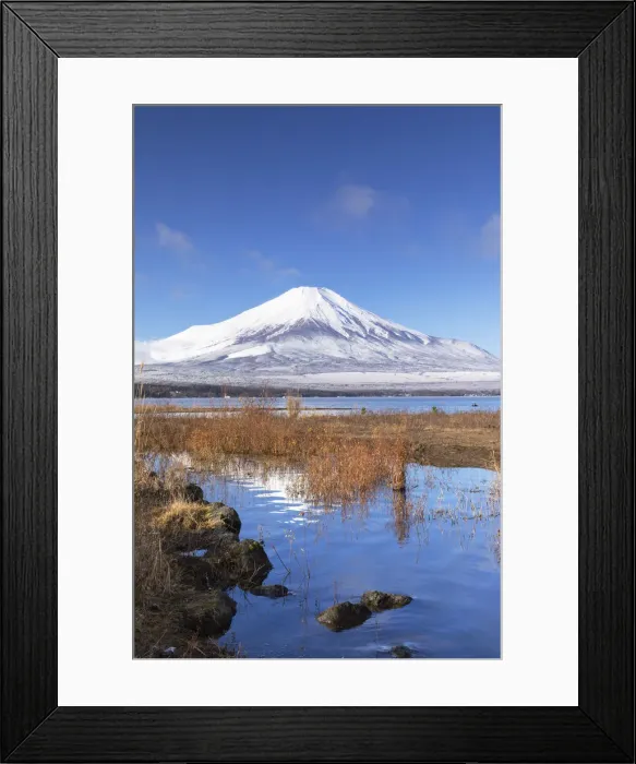 Framed Print : Mount Fuji, UNESCO World Heritage Site, and Lake Yamanaka, Yamanashi Prefecture, Honshu Framed Print : Mount Fuji, UNESCO World Heritage Site, and Lake Yamanaka, Yamanashi Prefecture, Honshu