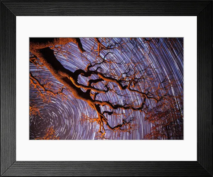 Framed Print : Startrail with tree in silhouette in foreground, Khama Rhino Sanctuary, Botswana, Africa Framed Print : Startrail with tree in silhouette in foreground, Khama Rhino Sanctuary, Botswana, Africa