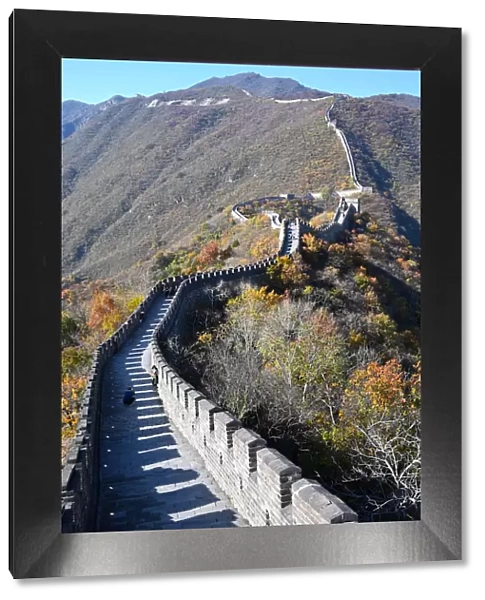 Great Wall of China, Mutianyu section, looking west towards Jiankou