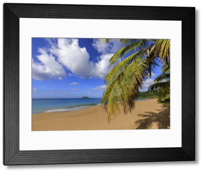 Framed Print : Tropical Anse de la Perle beach, palm trees, golden sand, blue sea Framed Print : Tropical Anse de la Perle beach, palm trees, golden sand, blue sea