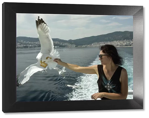 Woman feeding seagulls on a ferry from Kavala to Thassos, North Aegean Sea, Greek Islands
