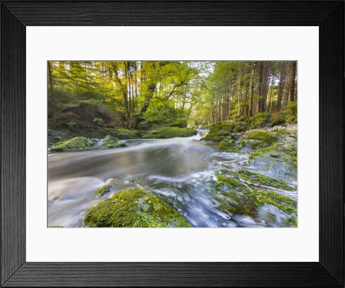 Framed Print : Tollymore Forest Park, Shimna River, County Down, Ulster, Northern Ireland Framed Print : Tollymore Forest Park, Shimna River, County Down, Ulster, Northern Ireland