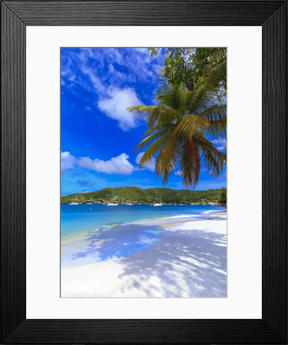 Framed Print : Quiet Caribbean, sea shore palm trees, beautiful Port Elizabeth, Admiralty Bay, Bequia Framed Print : Quiet Caribbean, sea shore palm trees, beautiful Port Elizabeth, Admiralty Bay, Bequia