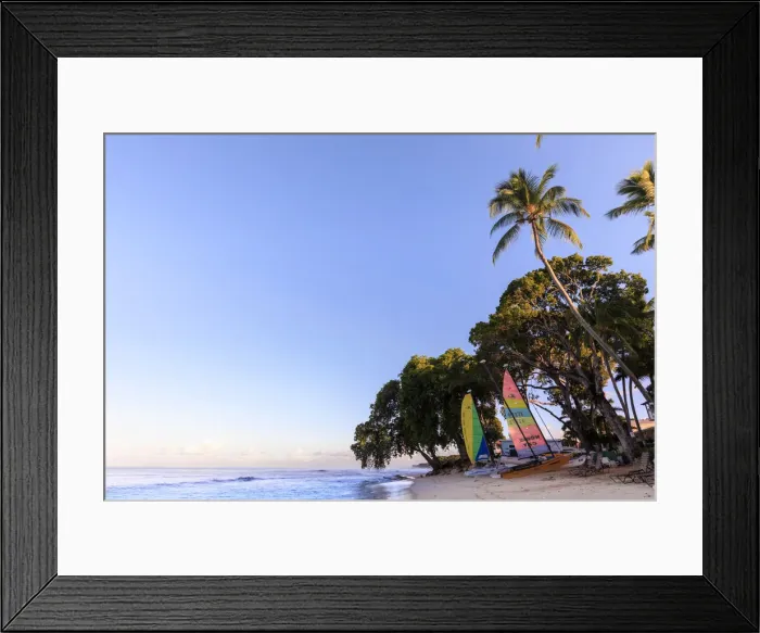 Framed Print : Paynes Bay, colourful sail boats on pink sand beach, sunrise, palm trees Framed Print : Paynes Bay, colourful sail boats on pink sand beach, sunrise, palm trees