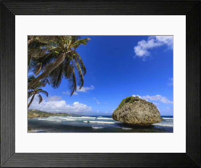 Framed Print : Bathsheba, Mushroom rock, windswept palm tree, Atlantic waves, rugged East Coast Framed Print : Bathsheba, Mushroom rock, windswept palm tree, Atlantic waves, rugged East Coast